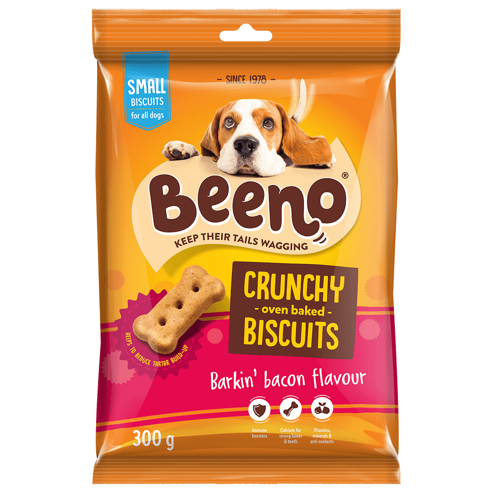 Bacon bacon bacon dog clearance